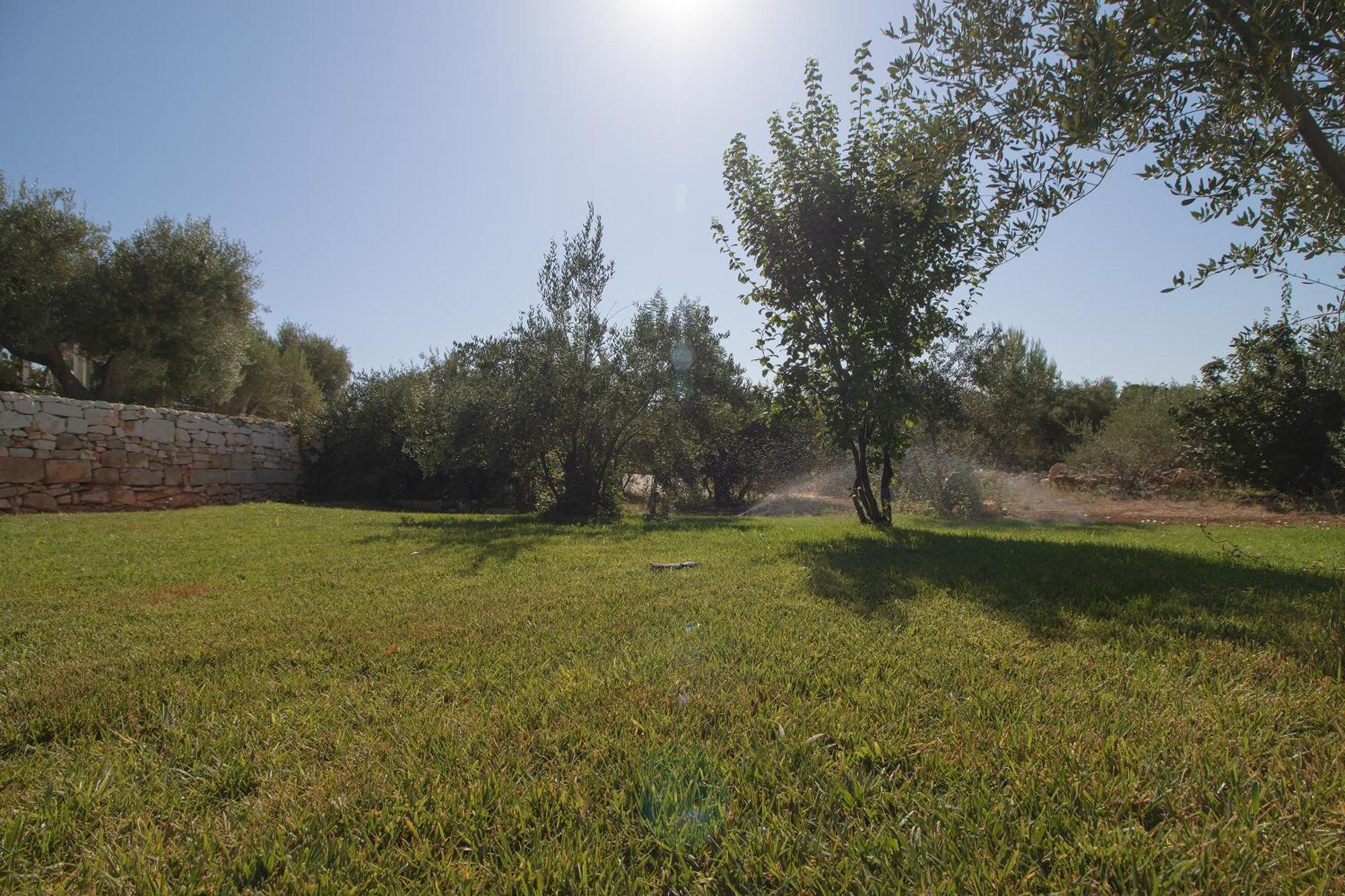 Le Terrazze Della Crianza Apartment Ostuni