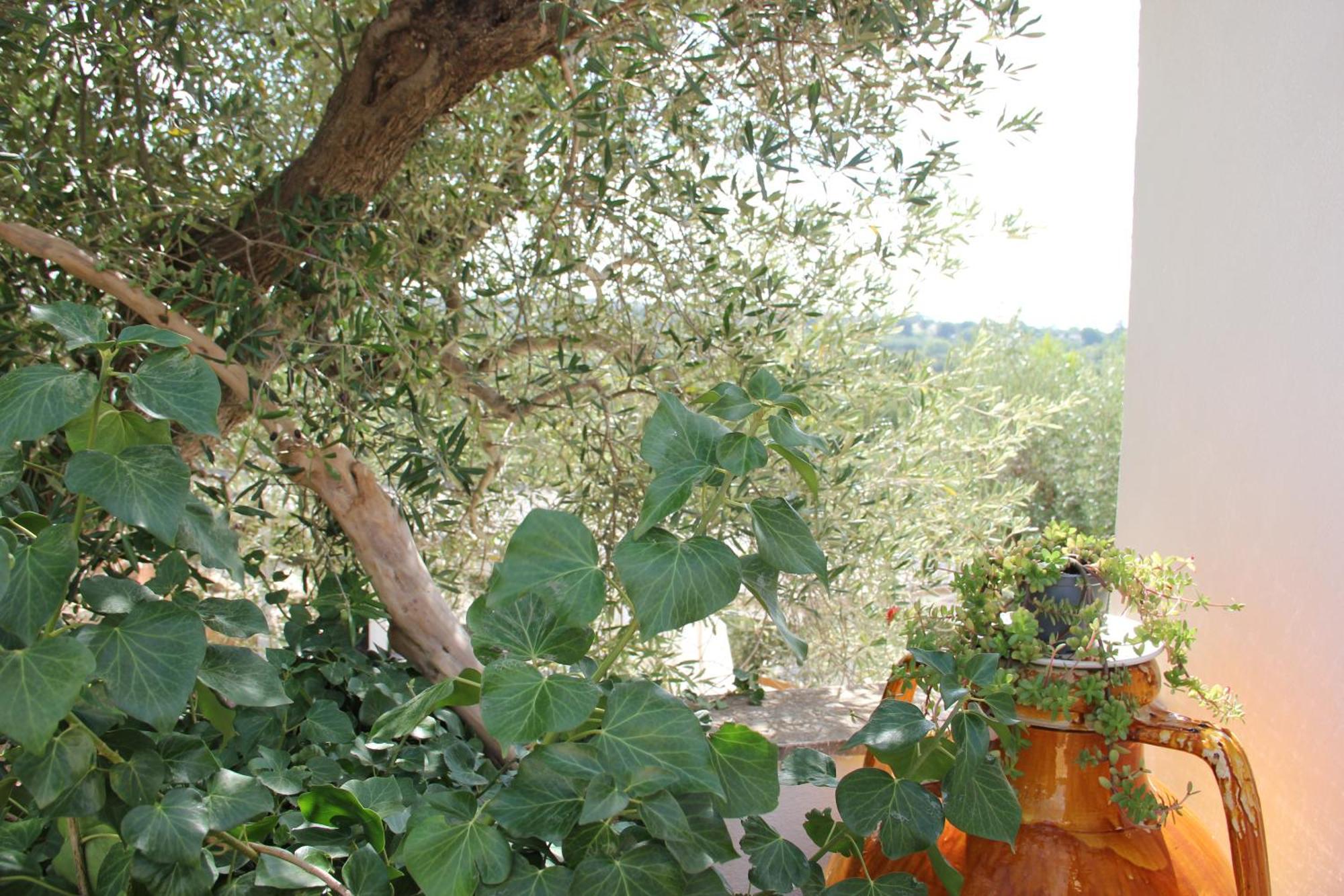 Le Terrazze Della Crianza Apartment